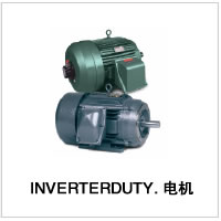 INVERTERDUTY. 电机